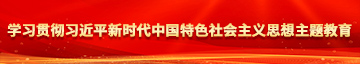 男插女BB视频学习贯彻习近平新时代中国特色社会主义思想主题教育